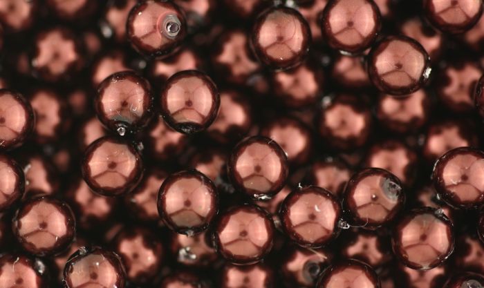  CZECH REPUBLIC Glass Pearl Beads, 6mm round, Merlot - 60 per pack   (Minimum quantity purchase is 1)