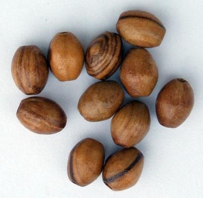  Olive Wood oval 8 x 6 mm beads from Bethlehem- pkg of 60  