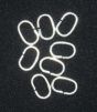 Jump Rings 8mm x 6mm - .8mm Thick - Pkg of 144    (Minimum quantity purchase is 1)