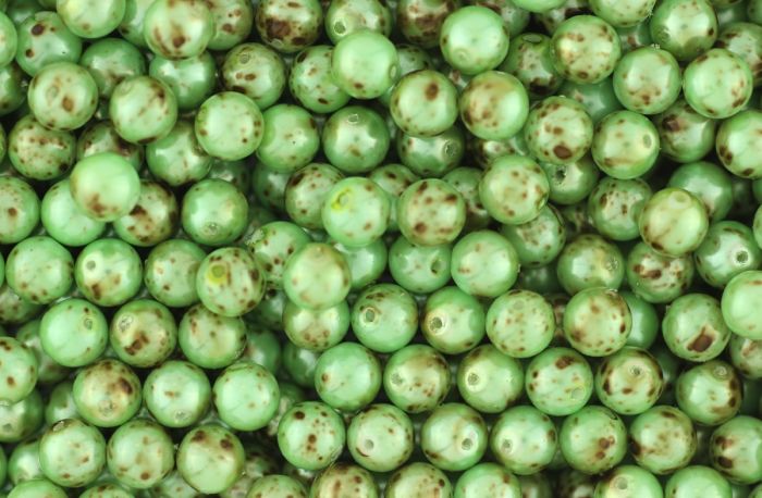   Czech Republic Glass Dappled Beads, Green / Brown - 6mm, Pkg of 60   (Minimum quantity purchase is 3)