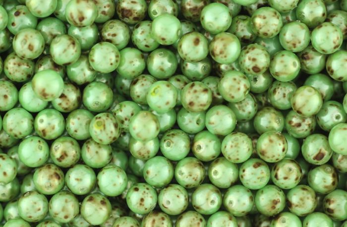   Czech Republic Glass Dappled Beads, Green / Brown - 6mm, Pkg of 60    (Minimum quantity purchase is 1)