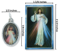 Divine Mercy Medal (1 inch) and Picture Card   (Minimum quantity purchase is 1)