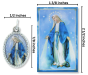 Miraculous Medal (1 inch) and Picture Card   (Minimum quantity purchase is 1)