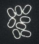 Jump Rings 8mm x 6mm - .8mm Thick - Pkg of 144  (Minimum quantity purchase is 2)