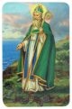   Saint Patrick Prayer Card   (Minimum quantity purchase is 2)