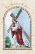  The Stations of the Cross Booklet - Full Color  (Minimum quantity purchase is 1)