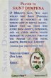 St Dymphna Laminated Prayer Card with Medal - Patron Saint of Mental Anxiety *   (Minimum quantity purchase is 2)