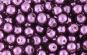 8mm Plum Purple Glass Pearl Beads - Pack of 60  *  (Minimum quantity purchase is 5)