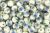   Blue Flowered Ceramic Beads - 8 mm, Pkg 60   (Minimum quantity purchase is 1)