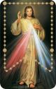   Pray the Rosary Card - PVC with raised beads - Divine Mercy Rosary Holy Card     (Minimum quantity purchase is 1 )
