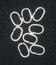 Jump Rings 8mm x 6mm - .8mm Thick - Pkg of 144    (Minimum quantity purchase is 1)