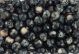 Black and Tan Spun Glass 8mm Beads - Pkg 60 * (Minimum quantity purchase is 3)