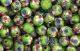  Light Green Cloisonne Beads -  7mm - pkg of 60   (Minimum quantity purchase is 1)