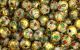  Gold Cloisonne Beads -  7mm - pkg of 60 * (Minimum qty. purchase of 1)