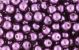 8mm Plum Purple Glass Pearl Beads - Pack of 60  *  (Minimum quantity purchase is 5)