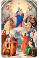  Our Lady Help of Christians Prayer Card   (Minimum quantity purchase is 2)