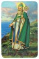   Saint Patrick Prayer Card    (Minimum quantity purchase is 1)