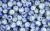 Blue/ White/ Yellow Mottled Glass Beads - 7mm  60 per pack  (Minimum quantity purchase is 1)