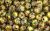  Gold Cloisonne Beads -  7mm - pkg of 60 * (Minimum qty. purchase of 1)