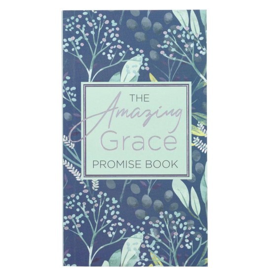 Blue Floral Amazing Grace Promise Book - Closeout Sale * (Minimum quantity purchase is 1)