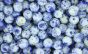 Blue/ White/ Yellow Mottled Glass Beads - 7mm  60 per pack  (Minimum quantity purchase is 1)
