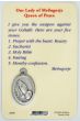 Our Lady Medjugorje (weapons against Goliath) Prayer Card   (Minimum quantity purchase is 2)